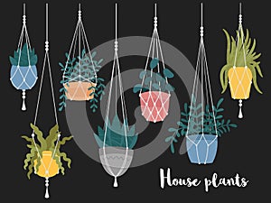 Set of macrame hanging plants in pots. Hangers with potted indoor garden flowers. Handmade home decorations. Hand drawn cartoon,