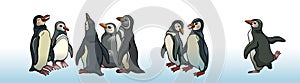 Set of magellanic penguins