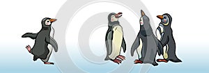 Set of magellanic penguins