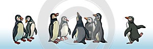 Set of magellanic penguins