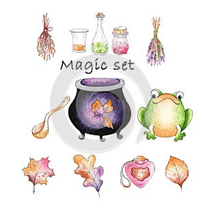 Set for magic. A witch set. Magical items with a frog