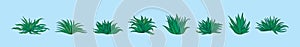 Set of maguey plant cartoon icon design template with various models. vector illustration isolated on green background