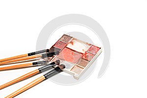 Set of makeup brush and color palette