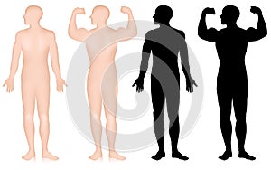 Set of male bodybuilder silhouette, biceps pose isolated on white background