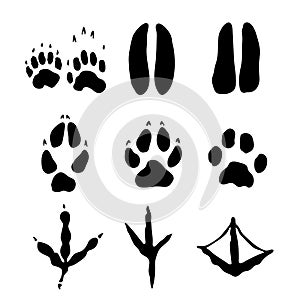 Set of Mammals and bids Footprints - Vector Illustration photo