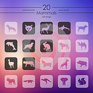 Set of mammals icons