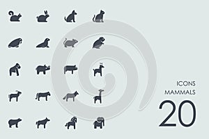 Set of mammals icons