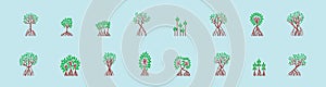 Set of mangrove. cartoon icon design template with various models. vector illustration isolated on blue background photo