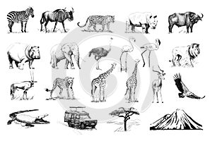 Set of many african animals and car, tree, mountain hand drawn i