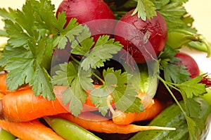 Set of many different vegetables.