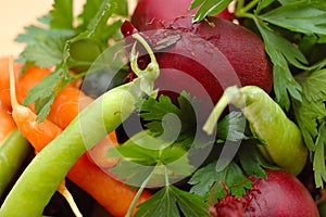 Set of many different vegetables.