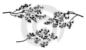 Set of Maple Tree Branches Silhouette