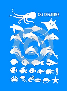 Set of marine animals