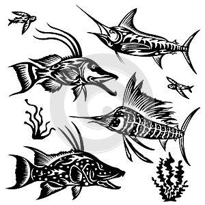 Set of marine or aquarium exotic fish in black with various patterns. A collection of inhabitants of the underwater world. Tattoo