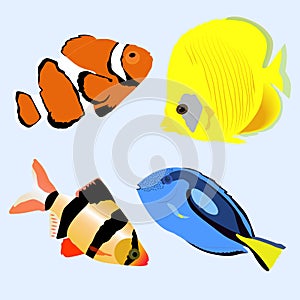 Set marine aquarium fish. collection of stickers of badges and l