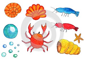 Set marine aquarium, shrimp, shells, crabs, bubbles