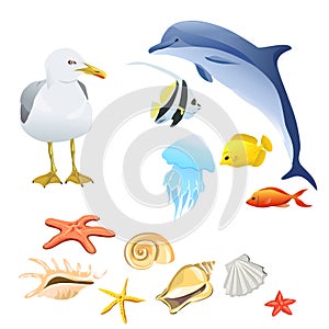 Set of marine fauna isolated