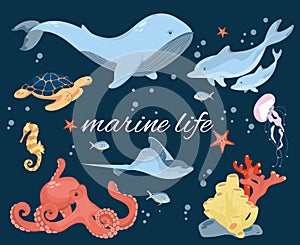 Set with marine inhabitants living on the ocean floor. Marine animals.