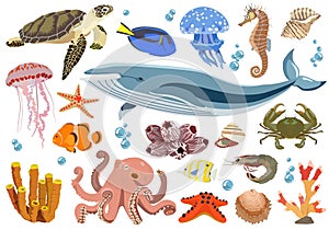 Set of marine and oceanic fauna inhabitants. Vector illustration.