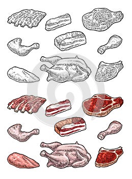 Set meat. Brisket, steak, chicken leg, ribs wing, and breast halves. Vintage vector engraving