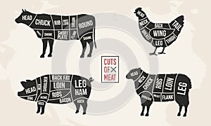 Set of Meat diagrams. Cuts of meat. Cow, Chicken, Pig and Sheep silhouette. Vintage Posters for groceries, butcher shop, meat stor photo