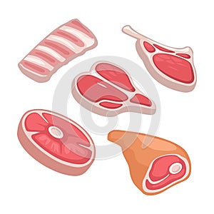 Set meat products. Ribs, different types steak, haunch with bone. Vector color vector icon