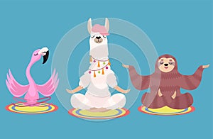 Set of meditating animals: sloth, llama and flamingo isolated on a blue background. Vector illustration. photo