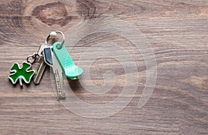 Set of metal and magnetic keys with a keyring-shaped clover leaf in green on a dark wooden background.