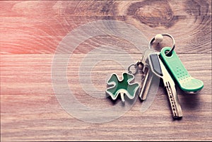 Set of metal and magnetic keys with a keyring-shaped clover leaf in green on a dark wooden background. Toning