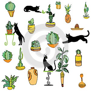 Set of mexican style illustration different cactuses, sombrero, pineapple, maraca, vases with national patterns and black cats.
