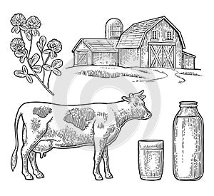 Set Milk farm. Cow head, clover, glass and bottle.