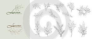 Set of minimalist botanical line elegant leaves branch