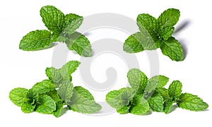 Set of mint leaves organic isolated on white background