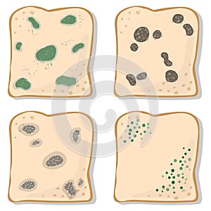 Set of Mold on Bread