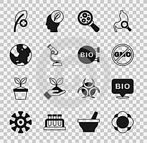 Set Molecule, Bio healthy food, No GMO, Microorganisms under magnifier, Microscope, Earth globe, Leaf leaves and icon