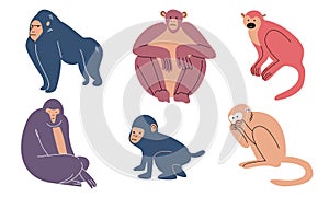 Set of monkey characters of different kinds vector illustration