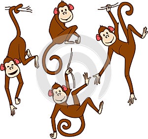 Set of monkeys in different poses