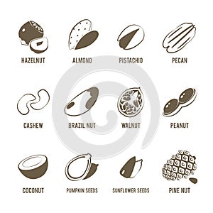 Set of monochrome, lineart food icons: nuts.