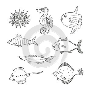 Set of monochrome vector doodle fishes and sea dwellers isolated on white background