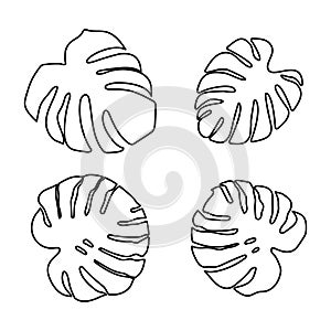 Set of monstera leaves in beautiful style on white background. Element decorative floral. Tropical decoration plant leaf