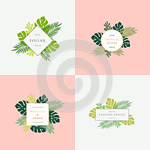 Set of Monstera Tropical Leaves Fashion Signs or Logo Templates. Abstract Foliage with Golden Borders and Classy