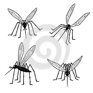 Set of mosquito silhouettes isolated on white background.