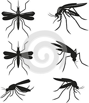 Set mosquitoes