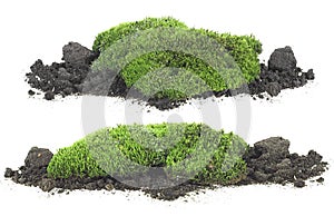 Set of moss on dirt pile, front view. Green moss isolated on white background