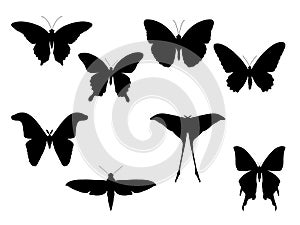 Set of moth and butterflies silhouettes isolated on white