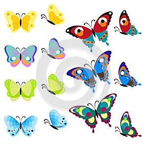 Set of multi-colored butterflies. Insects are a top view and side. Vector, illustration in flat style on white