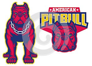 Set of muscle pitbull dog in sport mascot style