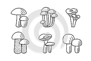 Set of mushroom icons vector. Illustration of boletus, chanterelles, honey mushrooms, champignons, aspen mushroom and russula