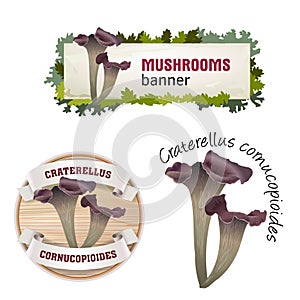 Set of mushroom vector banner, badge, sticker, icon with craterellus cornucopioides