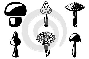 SET of mushrooms outline. Edible Organic mushrooms. Truffle. Forest wild mushrooms types